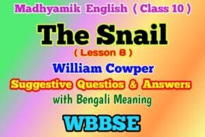 The Snail Class 10 Questions Answers with Bengali Meaning