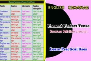 Present Perfect Tense structure with Rules and Examples