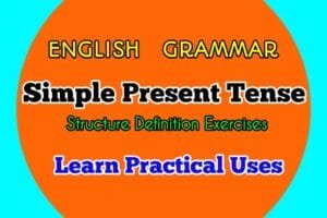 Simple Present Tense Definition Structure and Examples