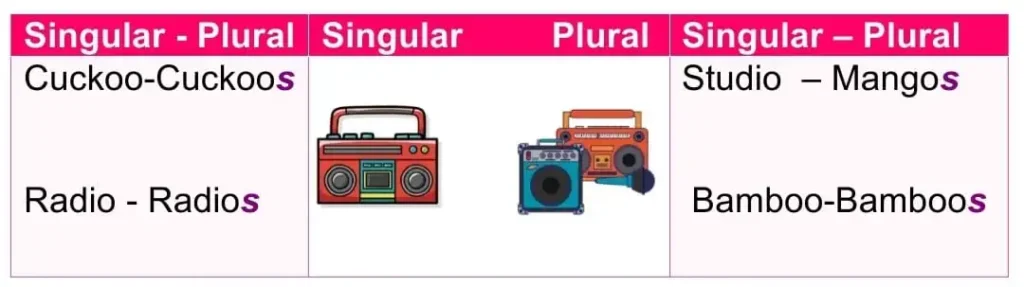 Singular Plural Number Class 5 English Grammar: adding s