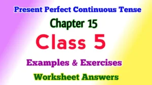 Present Perfect Continuous Tense Class 5 English Grammar