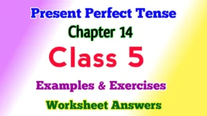 Present Perfect Tense Class 5 English Grammar