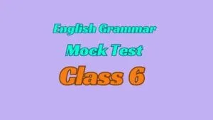 Class 6 English Grammar Mock Test for CBSE