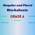 Singular and Plural Worksheets for Class 6 with Answers
