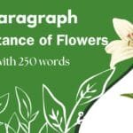 The importance of a flower Paragraph Writing 250 words