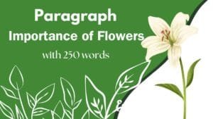 The importance of a flower Paragraph Writing 250 words