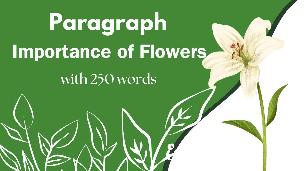 The importance of a flower Paragraph Writing 250 words