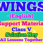 Wings Class 5 Solution Key All Lessons Activity Answers